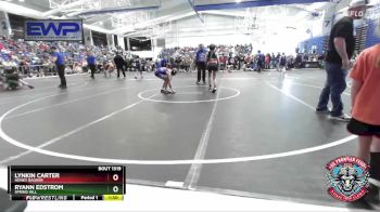 80-85 lbs Quarterfinal - Lynkin Carter, Honey Badger vs Ryann Edstrom, Spring Hill