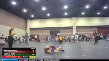 92 lbs Round 1 (4 Team) - Amelia Svec, Team Palmetto vs Logan Hartzell, Steel Valley Renegades