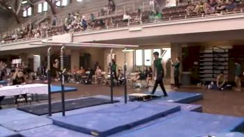 Ryan Huffer - UT Dallas - Parallel Bars