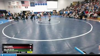 220 lbs Cons. Semi - Cale Haws, Burns/Pine Bluffs vs Dillon Glick, Thunder Basin High School