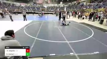 61 lbs Consolation - Anthony Salgado, Cedaredge Bruins vs Nathaniel Wahlert, Team Wahlert