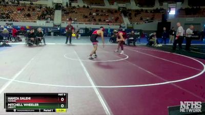 D1-144 lbs Quarterfinal - Mitchell Wheeler, Liberty vs Hamza Salehi, Tucson