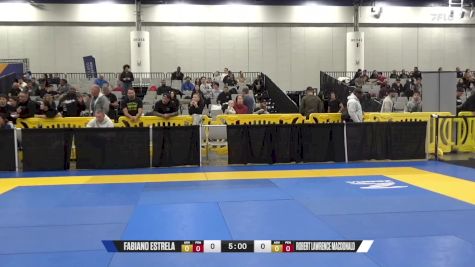 Andrey Arefyev vs Elmir Karajica 2024 World IBJJF Jiu-Jitsu No-Gi Championship