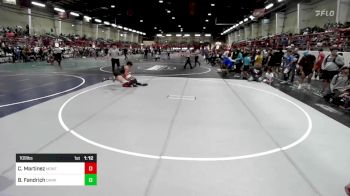 109 lbs Quarterfinal - Cash Martinez, Montrose Elite vs Bayden Fandrich, Darkhorse WC