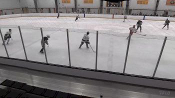 Replay: Home - 2025 MI Legacy vs Prestige Yellow | Jul 18 @ 4 PM