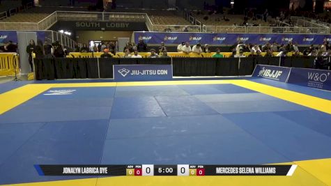 Mercedes Selena Williams vs Jonalyn Labrica Dye 2026 Pan Jiu Jitsu IBJJF Championship