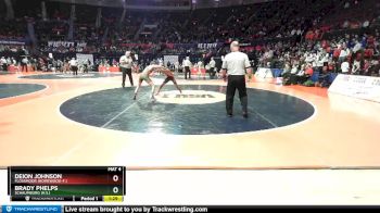 3A 113 lbs Semifinal - Brady Phelps, Schaumburg (H.S.) vs Deion Johnson, Flossmoor (Homewood-F.)