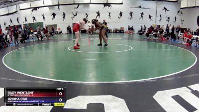 207 lbs Round 3 (16 Team) - Riley Wentlent, D`Youville University vs Ozioma Ogu, Northern Michigan University