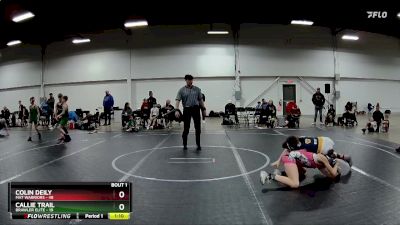 100 lbs Round 1 (4 Team) - Colin Deily, Mat Warriors vs Callie Trail, Brawler Elite