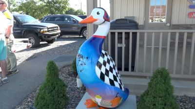 The Story Behind The Painted Port Royal Goose