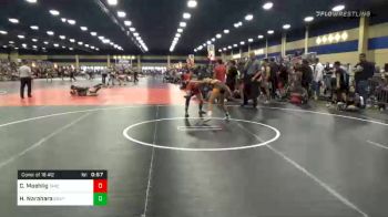 Match - Crystal Moehlig, Takedown Elite vs Haley Narahara, Grapplers HI