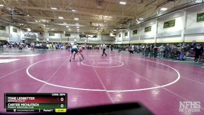 220 lbs Cons. Semi - Carter Michlitsch, Pursuit Wrestling Club vs Tone Ledbetter, Brandon Valley