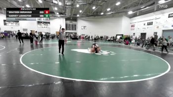 197 lbs Semifinal - Harvey Ludington, Iowa vs Brayden Mirjavadi, Grand Valley State
