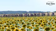 Highlights: 2022 Tour De France Stage 15
