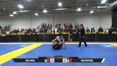 Tarik Hopstock vs Saul Viayra 2026 Pan IBJJF Jiu-Jitsu No-Gi Championship