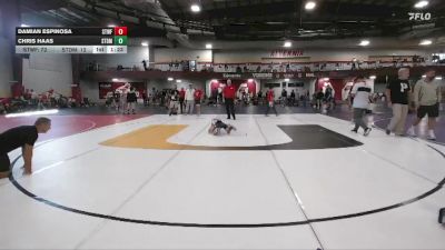 56 lbs Finals (2 Team) - Damian Espinosa, Steller Trained Wolffe vs Chris Haas, Steller Trained Doom