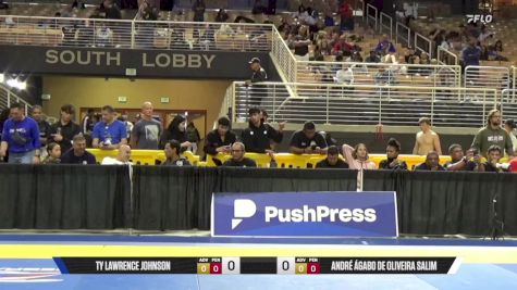 André Ágabo De Oliveira Salim vs Ty Lawrence Johnson 2025 Pan Jiu Jitsu IBJJF Championship