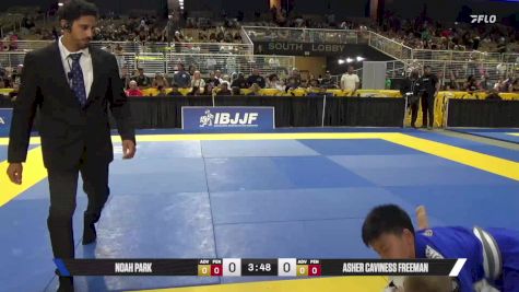 Noah Park vs Asher Caviness Freeman 2025 Pan Kids Jiu-Jitsu IBJJF Championship
