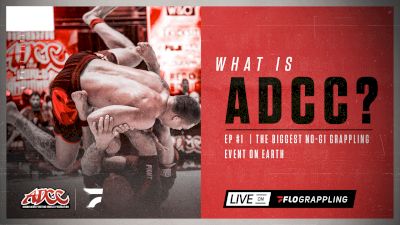 1. What Is ADCC?