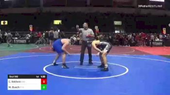 220 lbs Quarterfinal - Christopher Baldwin, Sheild Wrestling vs Matthew Busch, FF Henderson