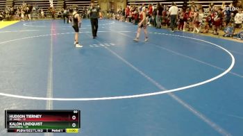 80 lbs Semis (4 Team) - Hudson Tierney, St. James vs Kalon Lindquist, Owatonna