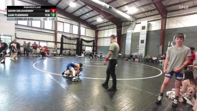 Consi Of 8 #2 - Gavin DeLoughery, West Milford vs Liam Flemming, Plymouth Meeting