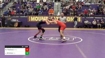 145 lbs Quarterfinal - Nick Paolucci, Archbishop Spal vs Jarrod Bridnza, William Penn HS