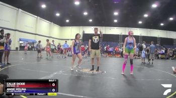 138 lbs Finals (2 Team) - Callie Dickie, Bad Bass vs Angie Molina, SC Lady Reapers