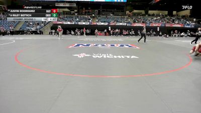 133 lbs Champ. Round 1 - 9 Riley Bettich, Cumberlands vs Justin Rodriguez, Hastings