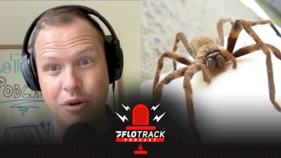Gordon Almost Ate A Spider In Bed Before The Podcast