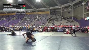 197 lbs Finals (2 Team) - Bennett Sonneborn, NYU vs Ben Strehlow, Luther