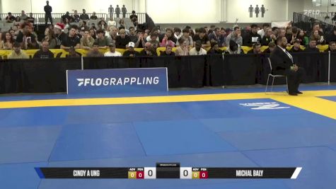 Michal Baly vs Cindy A Ung 2025 World IBJJF Jiu-Jitsu No-Gi Championship