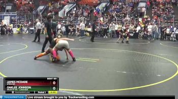 112 lbs Quarterfinal - Oaklee Johnson, Wildcat WC - Lakeview vs James McDade, Utica WC