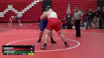 285 lbs Round 3 - Aaron Ries, Wadsworth vs Charlie Cole, Olentangy Liberty