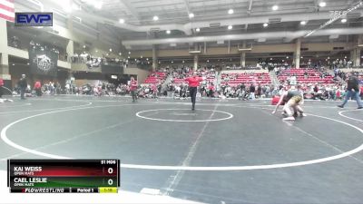 92 lbs Quarterfinal - Kai Weiss, Open Mats vs Cael Leslie, Open Mats