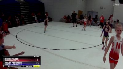 65 lbs Round 2 (6 Team) - Delaney Hardy, Nebraska Red Girls vs Alaina Williams, Minnesota Storm Girls