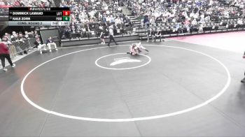 6A 132 lbs Cons. Round 2 - Dominick Lamano, Layton vs Kale Zorn, Fremont