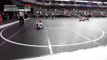 46 lbs Quarterfinal - Addison Caprio, SlyFox Wr Ac vs Arabelle Roberts, Ground Zero WC