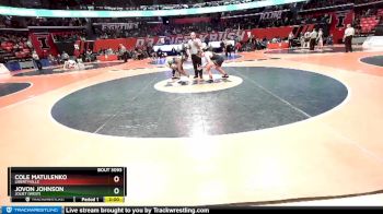 3A 195 lbs Champ. Round 1 - Cole Matulenko, Libertyville vs Jovon Johnson, Joliet (West)