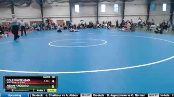 125 lbs Cons. Round 4 - Aidan Haggard, Wartburg vs Cole Whitehead, Wisconsin-LaCrosse