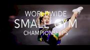 Introducing The Worldwide Small Gym Championships