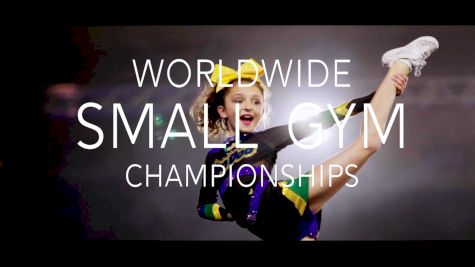 Introducing The Worldwide Small Gym Championships