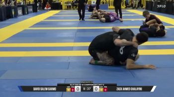 Zack Ahmed Ghalayini vs David Salem Garmo 2026 Pan IBJJF Jiu-Jitsu No-Gi Championship