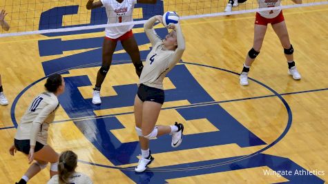 The South Atlantic Conference Announces Volleyball Players