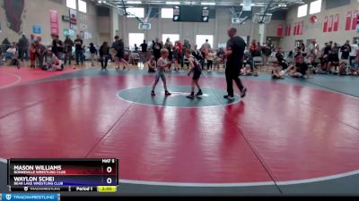 49 lbs Round 2 - Waylon Schei, Bear Lake Wrestling Club vs Mason Williams, Bonneville Wrestling Club