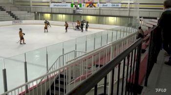 Replay: Home - 2024 SS Kings vs Jr. Bruins | Feb 6 @ 2 PM