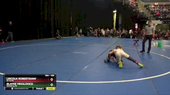 105 lbs Quarterfinal - Blayne Mihalovich, Moyer Elite vs Lincoln Robertshaw, DC Elite