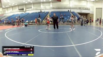 77 lbs Round 5 - Matthew Sheehan, OH vs Landon Sturgell, OH