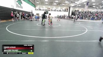 75 lbs Cons. Round 1 - Chase Luvaas, 2TG vs Brayden Fallert, Ste. Genevieve Youth Wrestling