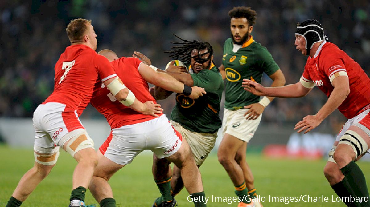 Wales To Play Springboks And England In RWC Warmups